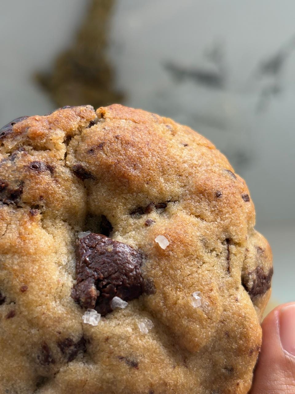 Classic Vanilla Chocolate Chunk Cookies