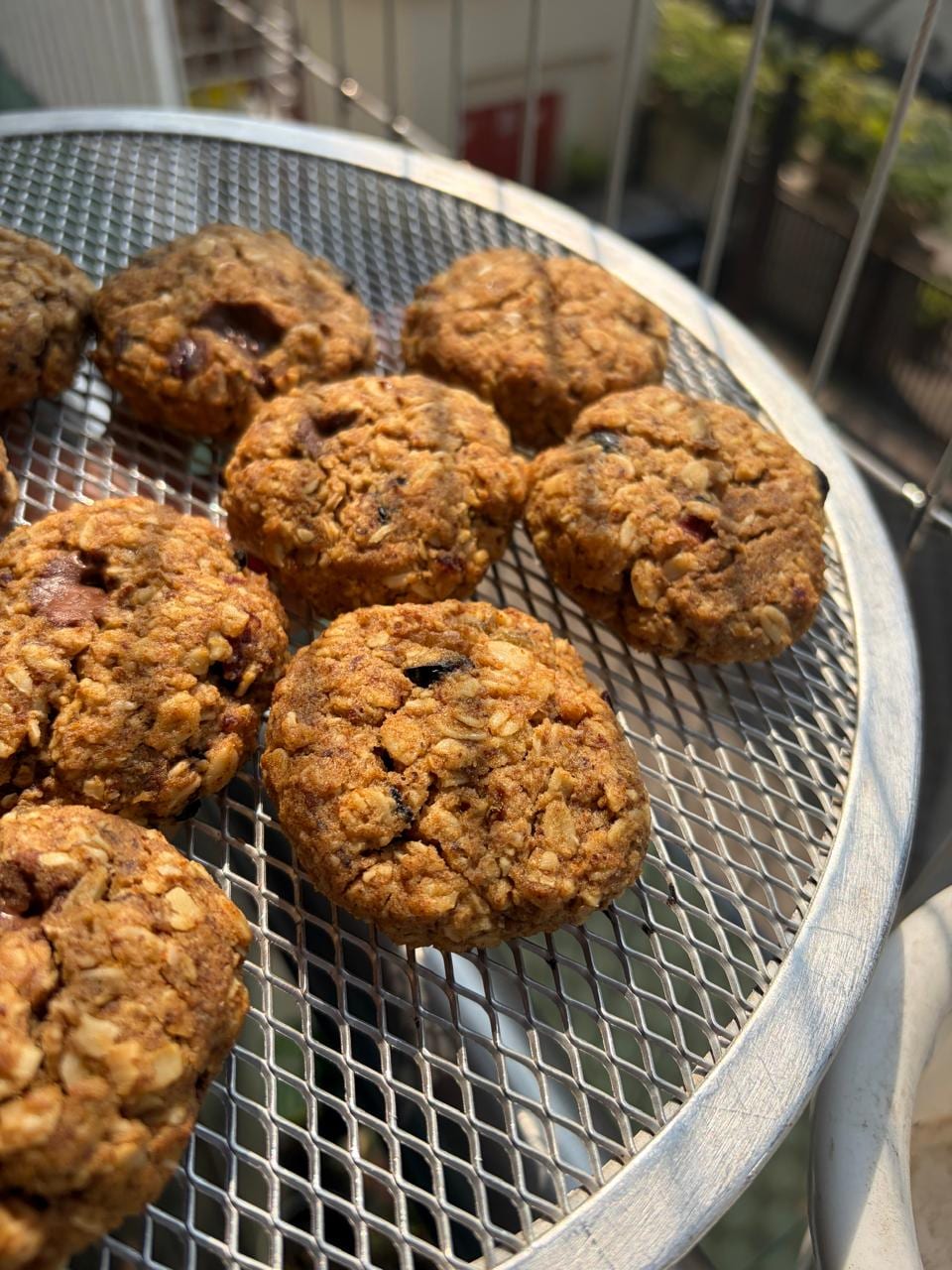Rolled Oats & Berries Cookies